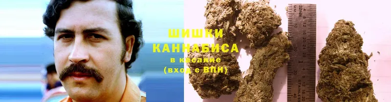 как найти наркотики  Орск  МАРИХУАНА SATIVA & INDICA 